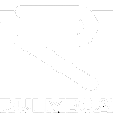 Logotipo Rulmeca